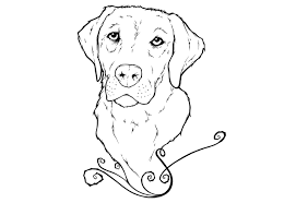 You can use our amazing online tool to color and edit the following labrador coloring pages. Labrador Eye Drawings Google Search Dog Coloring Page Puppy Coloring Pages Animal Coloring Pages