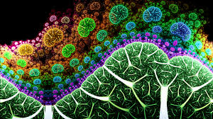 Fractal Art Wallpaper Hd Abstract 4k Wallpapers Images Photos And Background