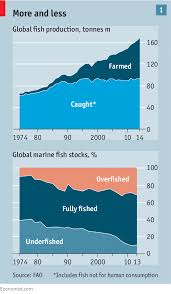 Improving The Ocean Getting Serious About Overfishing