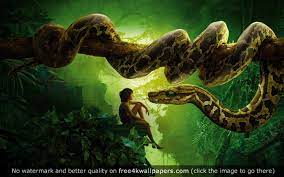 Jungle Book Snake Kaa Mowgli Hd Wallpaper Jungle Book Snake Jungle Book Book Wallpaper