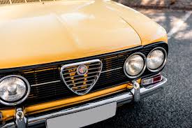 Image result for Light Rattan 1973 Alfa-Romeo