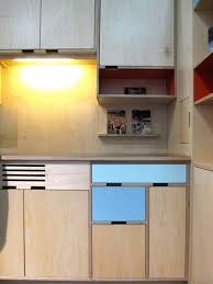 Get free shipping on qualified plywood in stock kitchen cabinets or buy online pick up in store today in the kitchen department. Plywood Kitchen Door Novocom Top