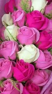 Wallpaper Iphone Android Background Followme Tumblr Beautiful Girly Art Beautiful Rose Flowers Beautiful Flowers Pink Flowers