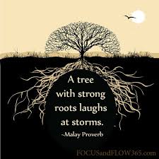 A Tree With Strong Roots Laughs At Storms Google Search Tree Of Life Quotes Roots Quotes Tree Quotes