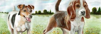 Maybe you would like to learn more about one of these? Pet Portraits Online Art Course London Art College