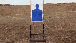 Businessman standing on paper plane and shooting arrow to flying target , success concept. Diy Targets Easy And Cheap Ways To Make Your Own Shooting Targets Personal Defense World