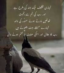 اپنے ماضی کو اپنا مستقبل متعین. Hard Work Success Quotes Urdu Quran Quotes Inspirational Beautiful Quotes About Allah Islamic Love Quotes