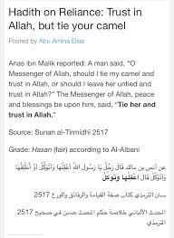 It's not a proverb ,but a saying to prophet muhammad (pbuh).he said. Tieyourcamel Hashtag On Twitter