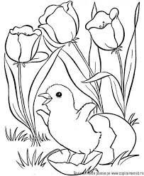 :) ➤invatam sa coloram , sa desenam si sa pictam ! 119 Planse De Colorat Primavara Copiisimamici Ro Easter Coloring Pages Spring Coloring Pages Spring Coloring Sheets