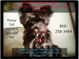 Photos From Valerie Anderson S Post In Valerie Anderson Losing A Dog Pink Collars Black Dog