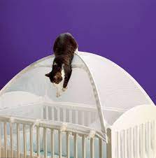 Crib Tents Are A Solution To Keeping Cats Out Of Baby Beds Exclusively Cats Veterinary Hospital Waterford Mi Crib Tent Baby Sleep New Baby Products