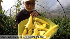 Check spelling or type a new query. Erfolgreiche Blogger Ralf Roesberger Von Neulich Im Garten Binoro