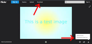 Just paste url and to download a video and photo from flickr, you just need to copy the video url and then paste it in. Flickr Download Link