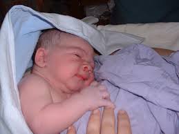 LISA AND MARK'S PICTURE GALLERY 19