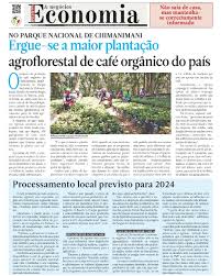 Image result for Danthoniopsis chimanimaniensis