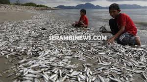 We did not find results for: Makna Mimpi Menangkap Ikan Bersisik Anda Akan Memperoleh Rezeki Tak Terduga Serambi Indonesia