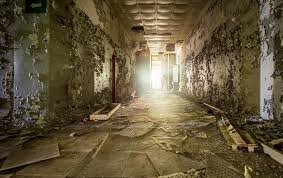 The area where the chernobyl atomic power station was built was a location 160 miles north of kiev called the pripyat. What Is Chernobyl Like Today Scientific American