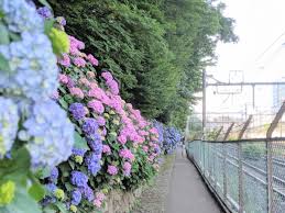 赤羽経済新聞 - みんなの経済新聞ネットワーク