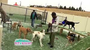 Maybe you would like to learn more about one of these? The Paw Spa Pet Resort Pet Boarding
