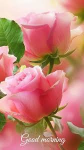 Morning is a perfect time to remind your friends, love, and family how much you appreciate and care for them. Good Morning With Lovely Flower Quotes Good Morning Fun