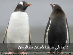 أمثال القرآن الكريم الدرس 04 والذين كفروا أعمالهم كسراب بقيعة يحسبه الظمأن ماء موسوعة النابلسي للعلوم الإسلامية