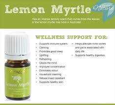 The oil in the lemon myrtle leaves, when applied in small amounts, can reduce the production of sebum by your skin cells. Lemon Myrtle Home With Helene At The Bath Castle