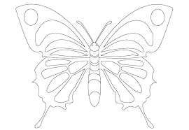 Butterfly coloring pages for adults. Butterfly Coloring Pages For Kids 100 Images Print For Free
