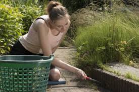 Медицинский центр вегамед, наши услуги: Selber Wasserleitung Im Garten Verlegen Tipps Anleitung