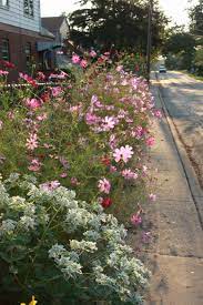 Check spelling or type a new query. A Chainlink Fence Transformed Finegardening