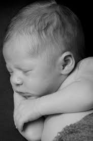 Lorraine Camacho Photography