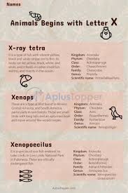 This activity will strengthen their spelling skills by challenging their young minds. Animals That Start With X List Of Animals Starting With X Pictures Facts A Plus Topper