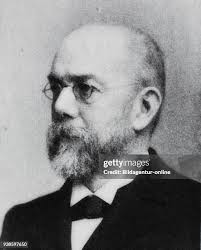 138 Heinrich Koch Stock Photos, High-Res Pictures, and Images