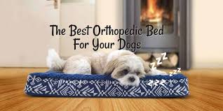 So to answer your question again, do orthopedic dog beds help? if it's a flimsy bed, the answer is no. The Best Orthopedic Dog Bed For Your Arthritic Dogs