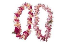 How To Dry Flowered Leis Ehow Com Paper Flowers How To Preserve Flowers Hawaiian Lei