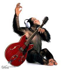 Monkey is funny video monkey is playing guitar #shorts A Monkey Playing Guitar Imgur