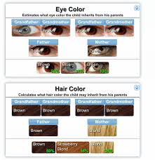 Genetic Chart For Hair Color Www Bedowntowndaytona Com