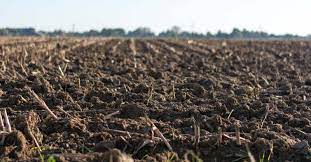 Maybe you would like to learn more about one of these? How To Sterilize Soil To Beat Back Bugs And Diseases