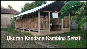 Pada umumnya tipe kandang pada ternak kambing dan domba adalah berbentuk panggung. Ukuran Kandang Kambing Relatif Yang Penting Nyaman Youtube