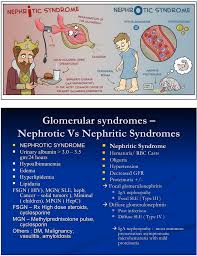 Nursing Study Nephrotic Vs Nephritic Syndrome Pediatric