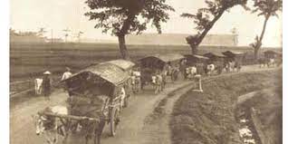 Pembelian secara tunai fade cream 2 120 2 way. Alat Transportasi Manusia Bermula Dari Hewan Halaman All Kompas Com