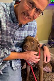 Patsy is a quiet, six month old chocolate lab mixed with sweetness. You can  adopt her today, beginning at noon, at the SPCA Cincinnati. 11900 Conrey  Rd, Cincinnati. Ready, Pet, Go sponsored