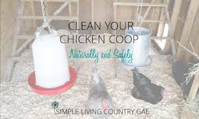 2 how to clean a chicken coop in 3 steps? Cleaning Out The Chicken Coop Naturally And Safely Simple Living Country Gal