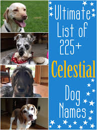 A funny ranking of celebrity dog names. The Ultimate List Of 225 Celestial Dog Names Pethelpful