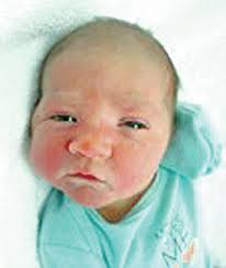 Steuben County births