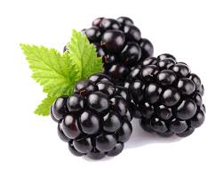 Résultats de recherche d'images pour « blackberry »