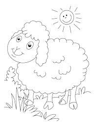 Sheep Coloring Page Hewan