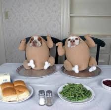 Still available... Got a sweet email today from one of the neighboors, here  it is: "Message: Hi, I looked at the property, in my neighborhood,