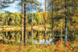 Insgesamt 188.000 seen zieren die finnische landschaft. Kinderweltreise Ç€ Finnland Land
