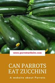 Even a plain baked potato is ok. Can Parrots Eat Zucchini Parrot Diet Zucchini How To Increase Energy