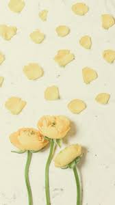 Aesthetic Tumblr Black And Yellow Aesthetic Wallpaper Wallpaper Flower Yellow Tumblr Minimalist Aesthetic Yellow Aesthetic Aesthetic Wallpapers Minimalist Wallpaper